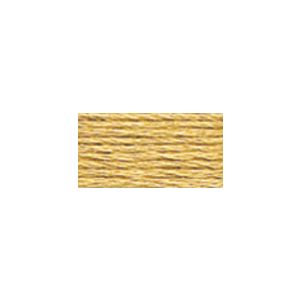 DMC 6-Strand Embroidery Cotton 8.7yd-Light Hazelnut Brown (Pack of 12)