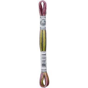 DMC Coloris 6-Strand Embroidery Cotton Floss 8.7yd-Granite Coast (Pack of 6)