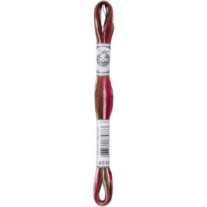 DMC Coloris 6-Strand Embroidery Cotton Floss 8.7yd-Black Forest (Pack of 6)