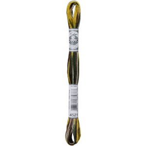 DMC Coloris 6-Strand Embroidery Cotton Floss 8.7yd-Wide Open Spaces (Pack of 6)