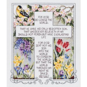 Janlynn Counted Cross Stitch Kit 10.25X12.25-John 3:16-17 (14 Count) (Pack of 1)