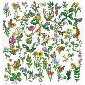 Design Works Counted Cross Stitch Kit 22X22-Botanical Beauty (14 Count)