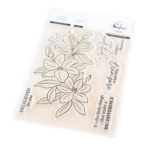 Pinkfresh Studio Clear Stamp Set 4 X6 -Delighted For You (Pack of 1)