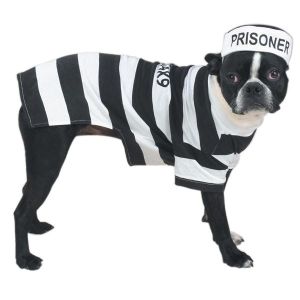 Casual Canine Prison Pooch Costumes - XXL Size
