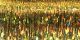 Sulky Metallic Thread 250yd Light Gold