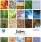 Colorbok 68Lb Designer Single Sided Paper 12 inch X12 inch 50 Per Pkg Outdoors 25 Designs 2 Each
