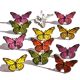 Eyelet Outlet Shape Brads 12 Per Pkg Butterflies