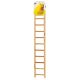Prevuepet 11 rung Bird Ladder 386