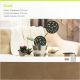 Cricut Heavy Chipboard 11 inch X11 inch 5 Per Pkg 