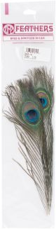 Peacock Eye Feathers 2 Per Pkg Natural