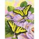 Junior Small Paint By Number Kit 8.75 inch X11.75 inch Swallowtail Butterflies