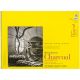 Strathmore Charcoal Spiral Paper Pad 18 inch X24 inch 24 Sheets
