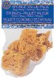 Sponge Value Pack 4 Per Pkg 1 3 Inch and 3 2 Inch