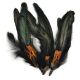 Feather Picks 5.5 inch 3 Per Pkg Natural Cocktail and Pheasant