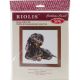 RIOLIS Counted Cross Stitch Kit 9.75 Inch X9.75 Inch Dachshund 15 Count