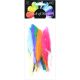 Duck Quill Feathers 24 Per Pkg Bright Mix