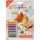 Mini Color Pencil By Number Kit 5 Inch X7 Inch Cardinal Pair