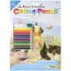 Color Pencil By Number Kit 8.75 inch X11.75 inch Kittens