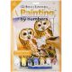 Junior Small Paint By Number Kit 8.75 inch X11.75 inch Tawny Owls