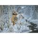 Paint By Number Kit 15.375 Inch X11.25 Inch Whispering Winds