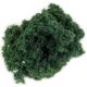 Bushes 150 Square Inches Medium Green