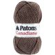 Patons Canadiana Yarn Solids Stone Pack of 1 Skein