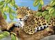 Junior Large Paint By Number Kit 15.25 Inch X11.25 Inch Leopard In Tree