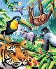 Color Pencil By Number Kit 8.75 inch X11.75 inch Jungle Animals