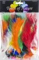 Flat Turkey Feathers 7g Assorted Colors