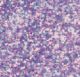 Stickles Glitter Glue .5oz Waterfall 1 pack of 1 piece