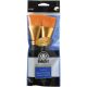 Folkart Golden Taklon Basecoating Brush Set 2 Per Pkg