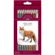 Fantasia Artist Pencil Set 10 Per Pkg Earth Tones