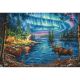 Dimensions Gold Collection Counted Cross Stitch Kit 16inchesX11inches Northern Night 16 Count 