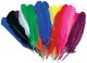 Turkey Quill Feathers 25 Per Pkg Assorted