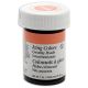 Icing Colors 1oz Creamy Peach 1 Pack of 1 Piece