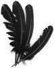 Turkey Quill Feathers 4 Per Pkg Black