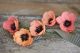 Double Sided Extra Fine Crepe Paper 2 Per Pkg Honeysuckle Coral and Apricot Light Rose