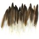 Duck Wing Quill Feathers 22 Per Pkg Natural