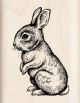 Inkadinkado Mounted Rubber Stamp 2.25 Inch X1.75 Inch Baby Bunny