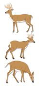 Jolee s By You Dimensional Stickers Deer