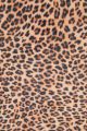 Printed Felt 12 inch X18 inch Cheetah