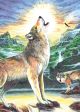 Mini Color Pencil By Number Kit 5 inch X7 inch Wolf At Night