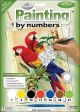 Junior Small Paint By Number Kit 8.75 Inch X11.75 Inch Bamboo and Parrots