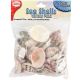 Mixed Sea Shells 8oz Small