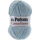 Patons Canadiana Yarn Solids Pale Teal Pack of 1 Skein