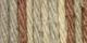Lily Sugarn Cream Yarn Ombres Super Size Earth Ombre Pack of 1 Skein