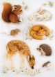 Craft Consortium A5 Clear Stamps Little Fawn and Friends Little Fawn