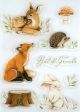 Craft Consortium A5 Clear Stamps Little Fawn And Friends Best Friends