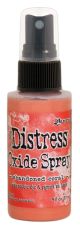 Tim Holtz Distress Oxide Spray 1.9Fl Oz Abandoned Coral 1 Pack of 1 piece