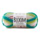 Premier Yarns Bloom Chunky Yarn Cactus Bloom Pack of 1 Skein